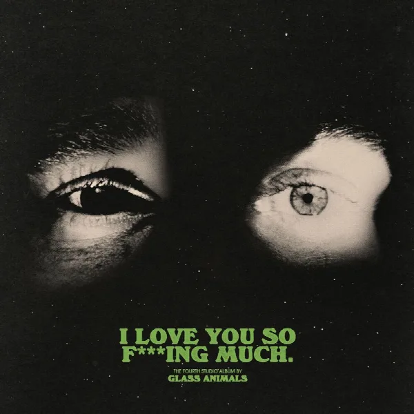 Pochette de I Love You So F***ing Much