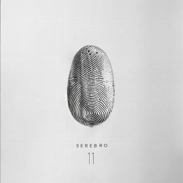 Pochette de 11
