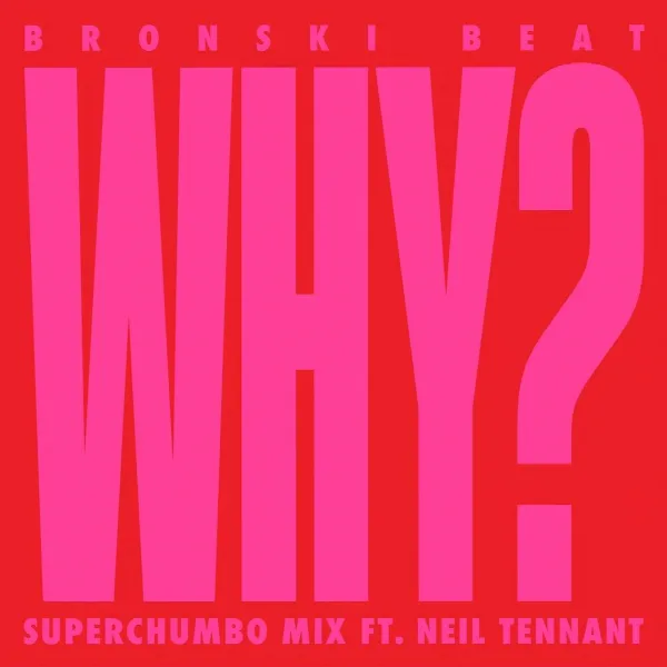 Pochette de Why? (feat. Neil Tennant) (Superchumbo Mix)