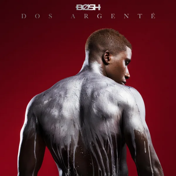 Pochette de Dos argenté