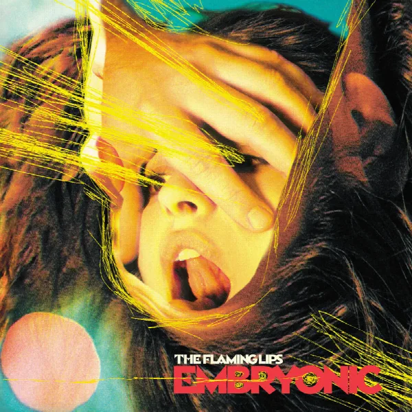 Pochette de Embryonic