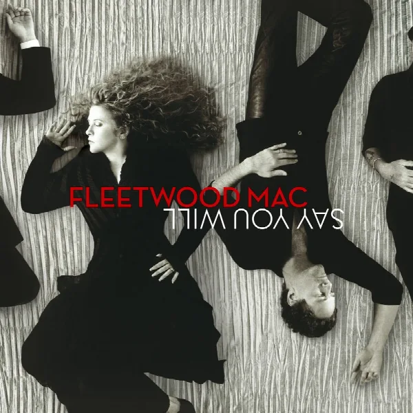 Pochette de Say You Will