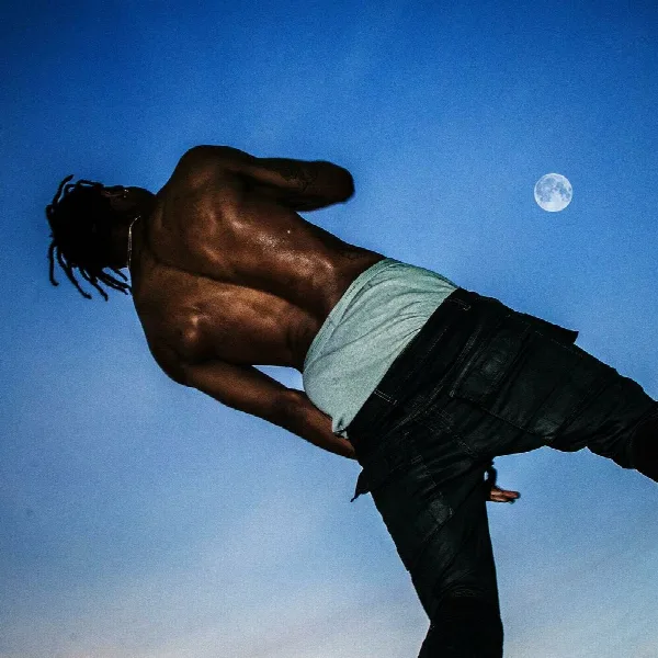 Pochette de DAYS BEFORE RODEO
