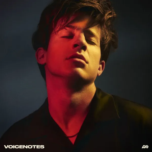 Pochette de Voicenotes