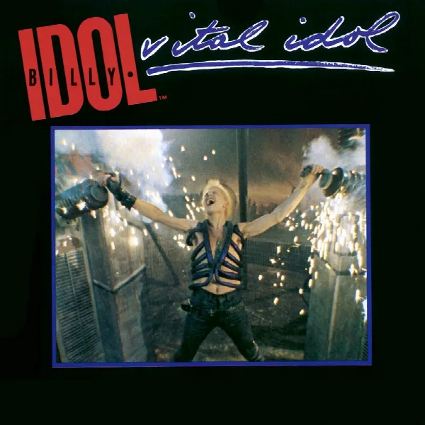 Pochette de Vital Idol
