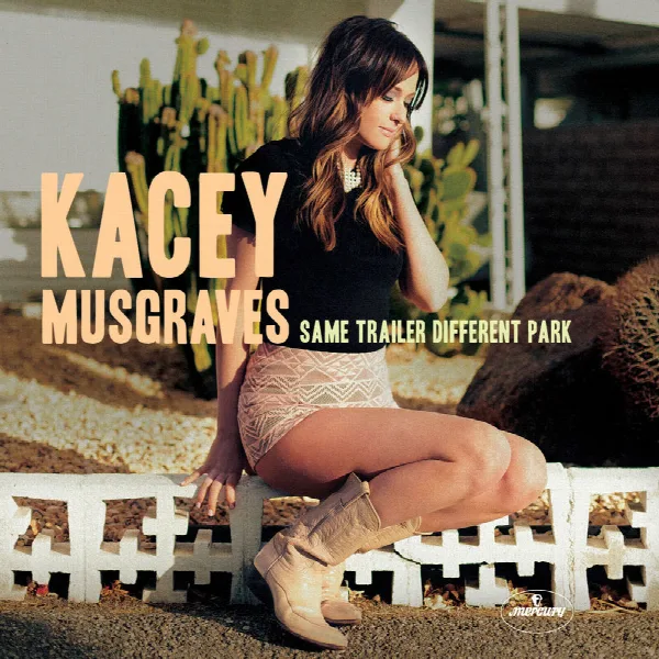 Pochette de Same Trailer Different Park