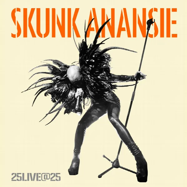 Pochette de 25LIVE@25