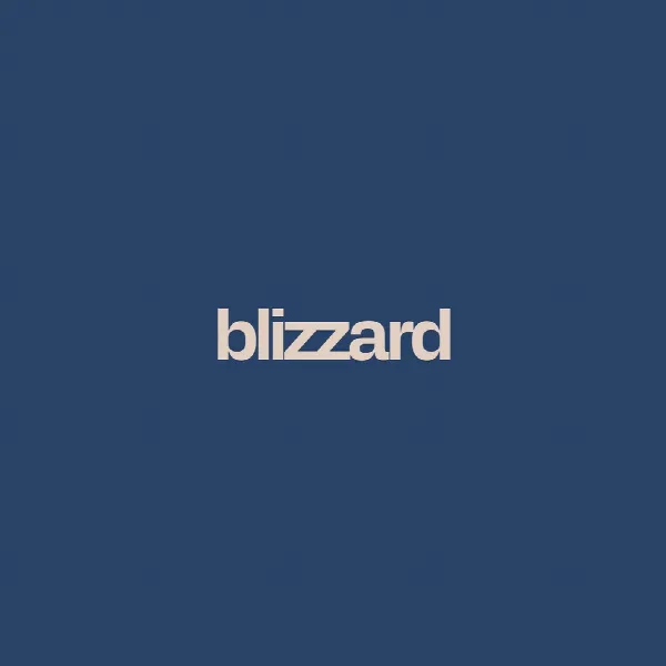 Pochette de blizzard