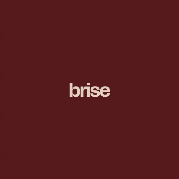 Pochette de brise