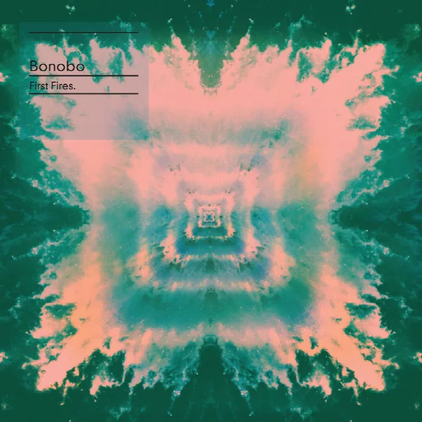 Pochette de First Fires