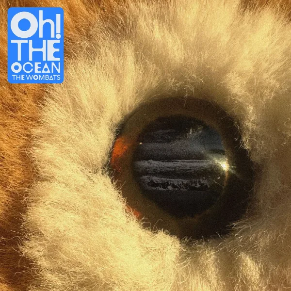 Pochette de Oh! The Ocean