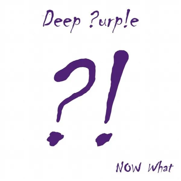 Pochette de Now What ?!