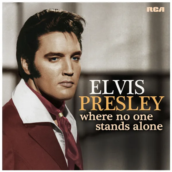 Pochette de Where No One Stands Alone