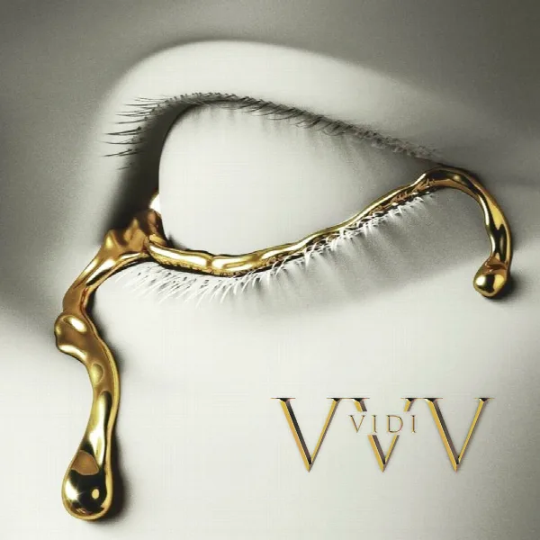Pochette de VIDI