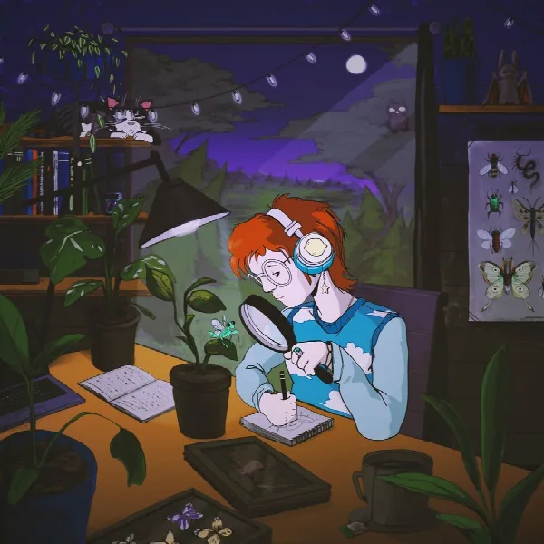 Pochette de cavetown lofi