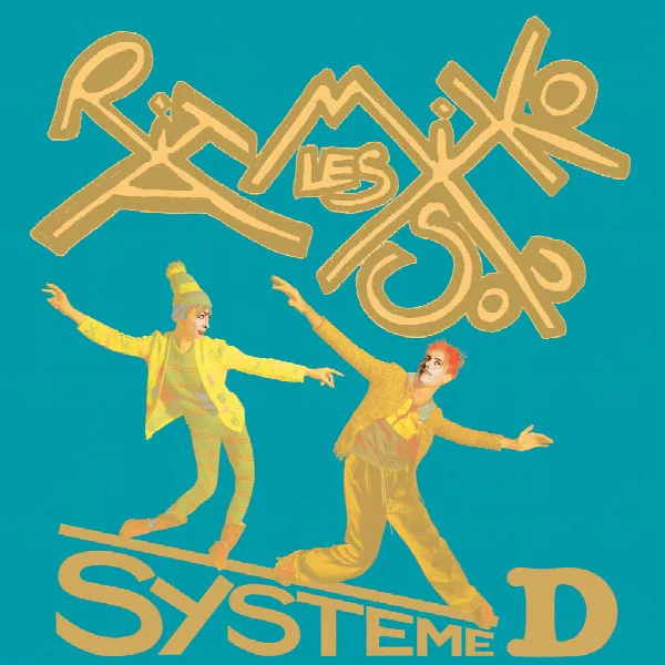 Pochette de Système D