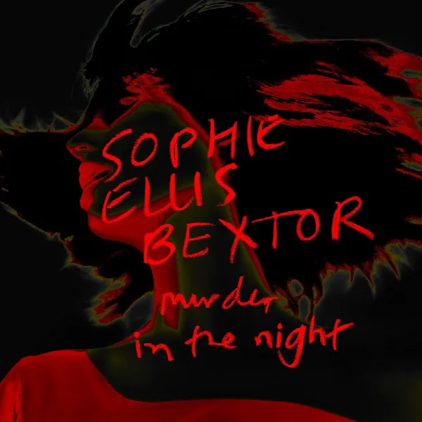 Pochette de Murder In The Night