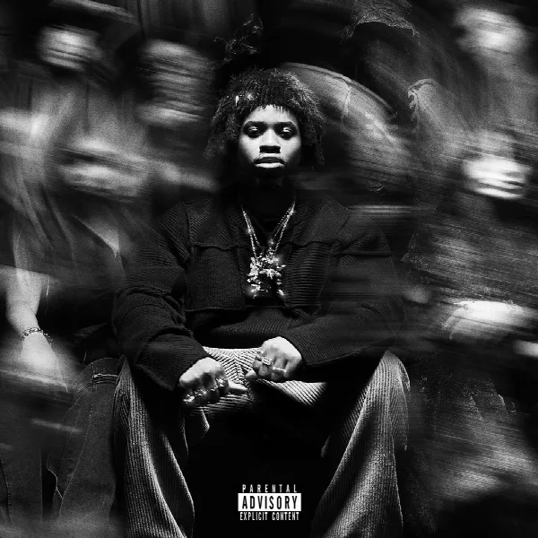 Pochette de KING OF THE MISCHIEVOUS SOUTH