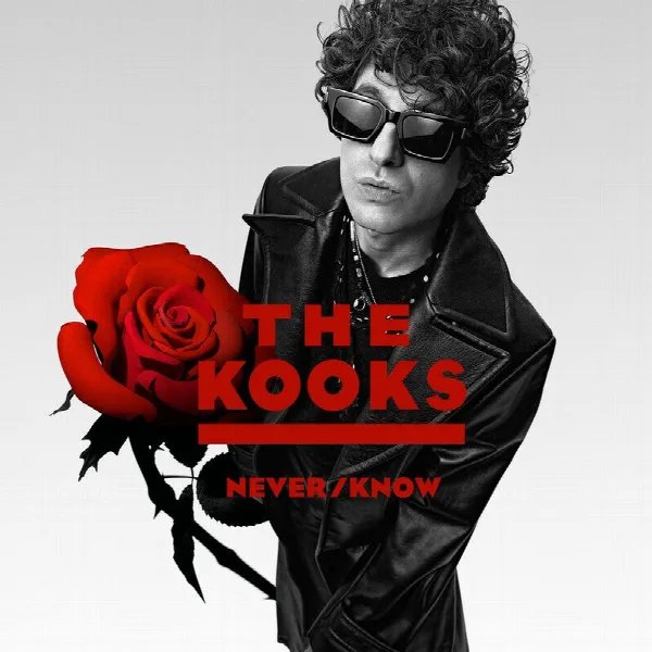 Pochette de Never/Know