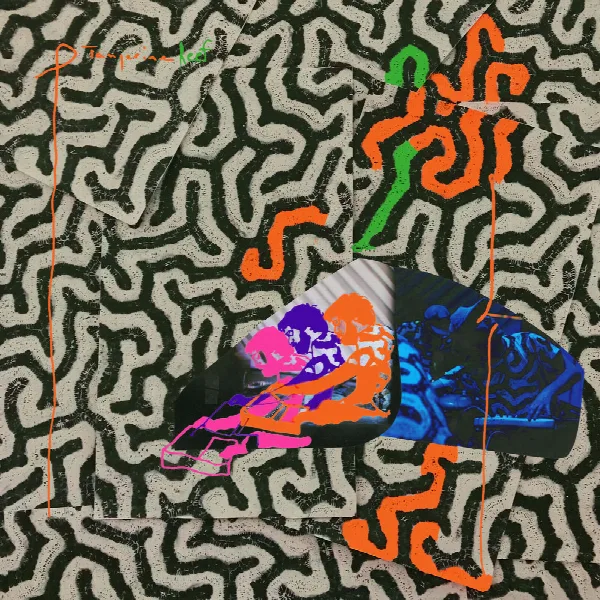 Pochette de Tangerine Reef