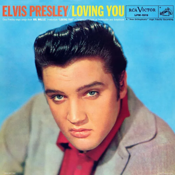 Pochette de Loving You