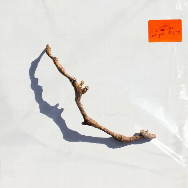 Pochette de I Inside the Old Year Dying