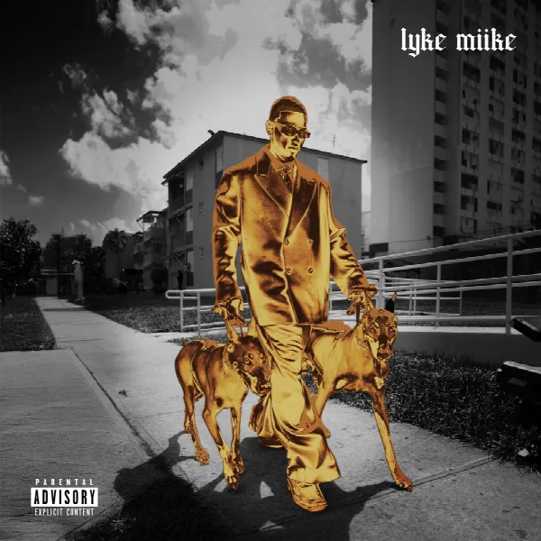 Pochette de LYKE MIIKE