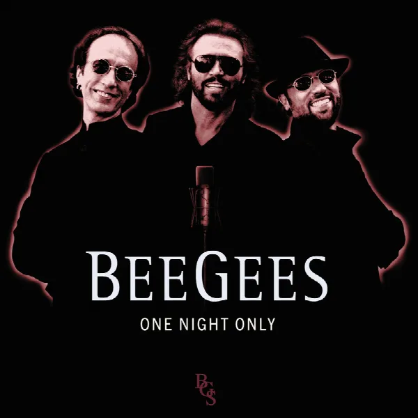 Pochette de One Night Only
