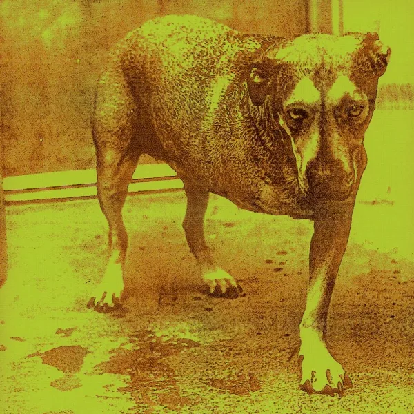 Pochette de Alice In Chains