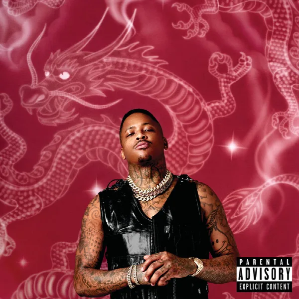 Pochette de STAY DANGEROUS