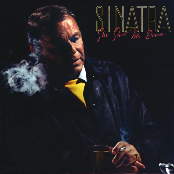 Pochette de She Shot Me Down