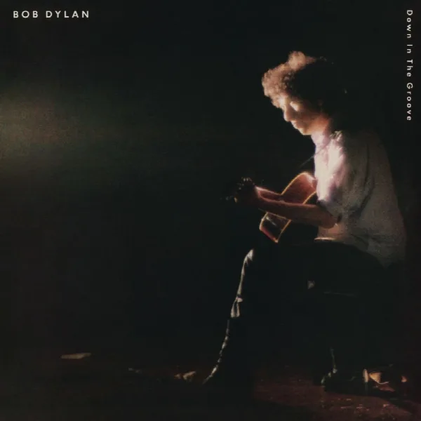 Pochette de Down In The Groove