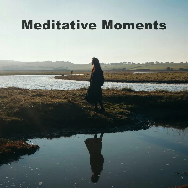 Pochette de Meditative Moments