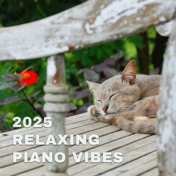 Pochette de 2025 Relaxing Piano Vibes
