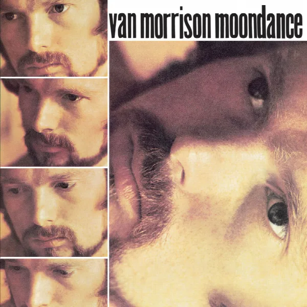 Pochette de Moondance