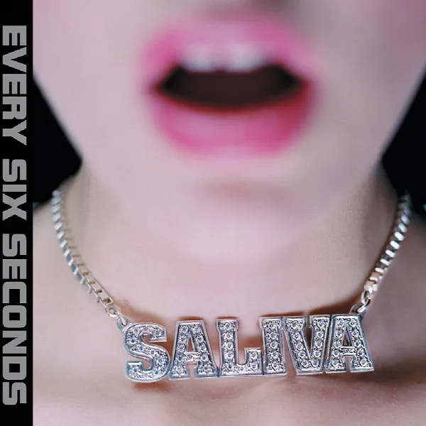 Pochette de Every Six Seconds