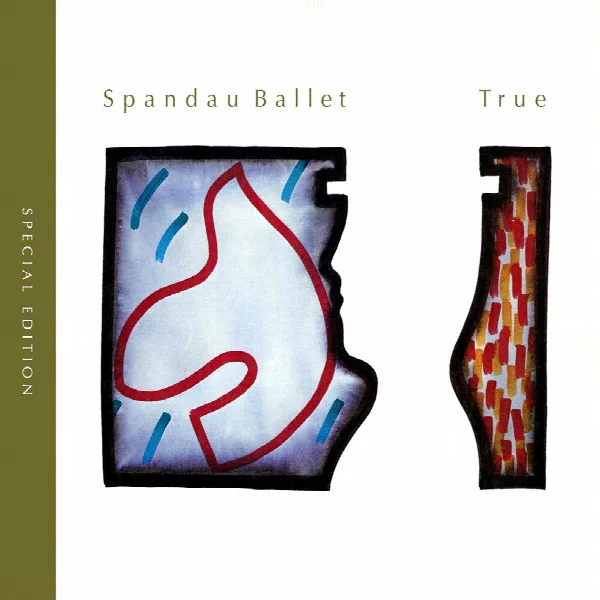 Pochette de True (Special Edition)