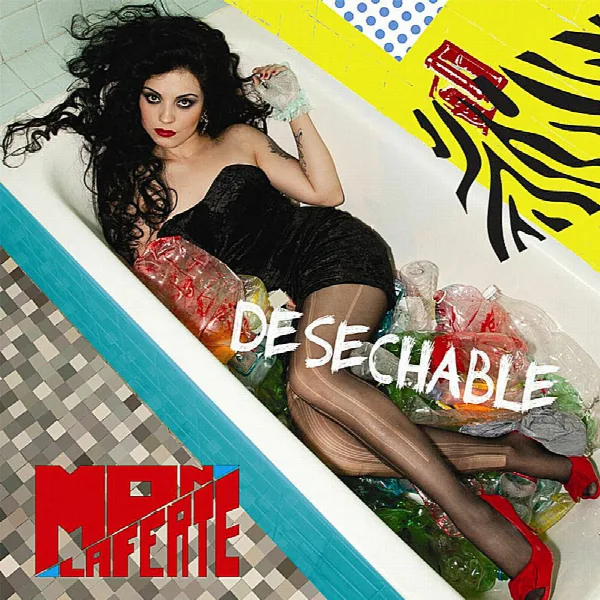 Pochette de Desechable