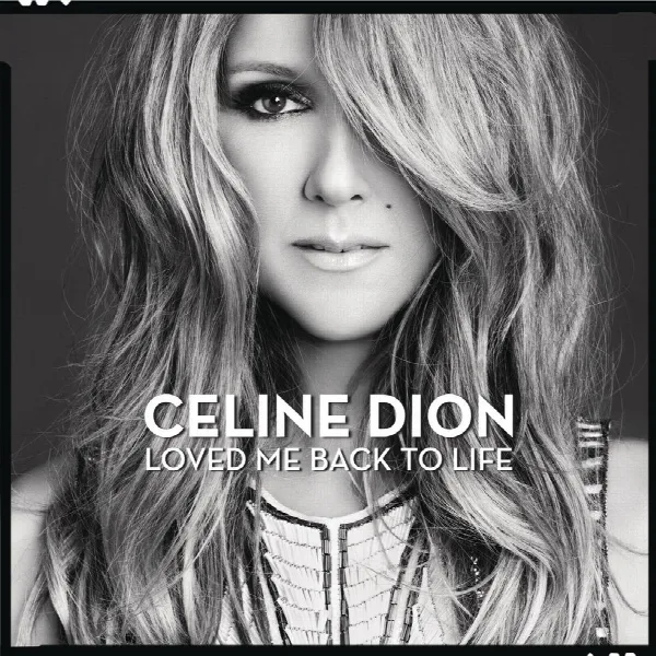 Pochette de Loved Me Back to Life