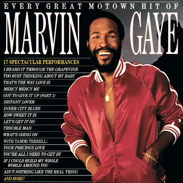 Pochette de Every Great Motown Hit Of Marvin Gaye
