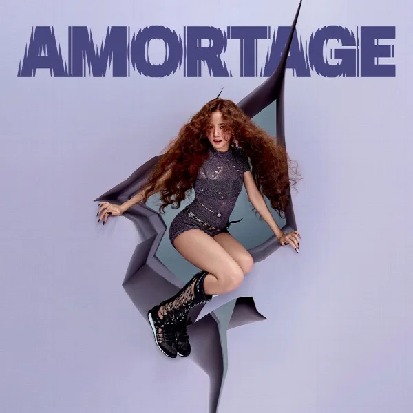 Pochette de AMORTAGE
