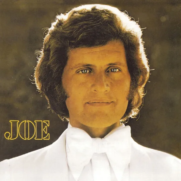 Pochette de Joe