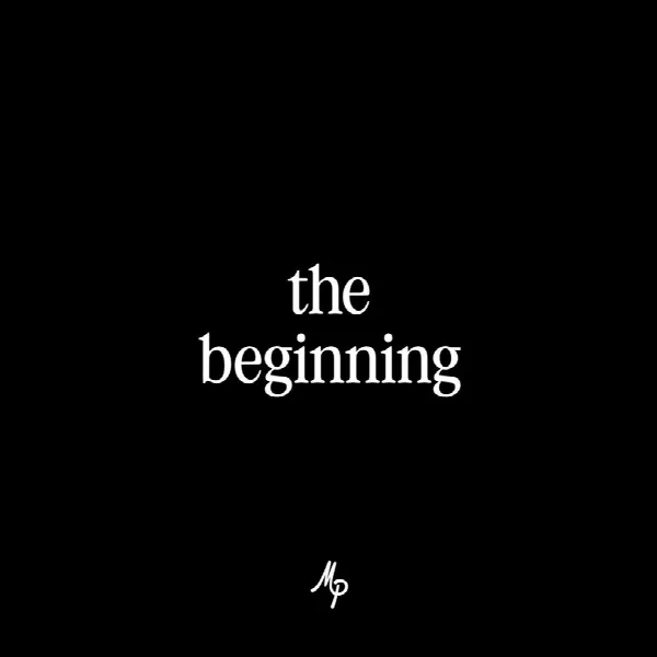 Pochette de The Beginning