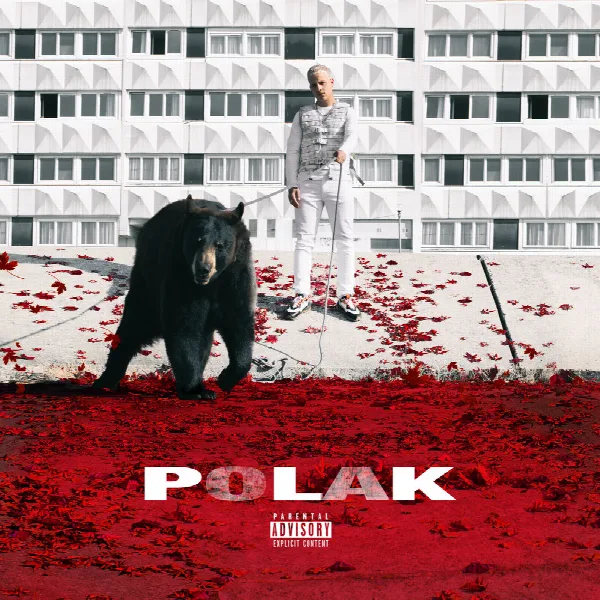 Pochette de Polak