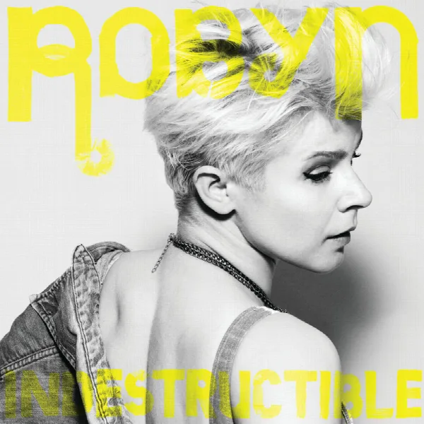 Pochette de Indestructible