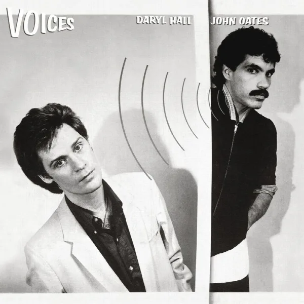 Pochette de Voices