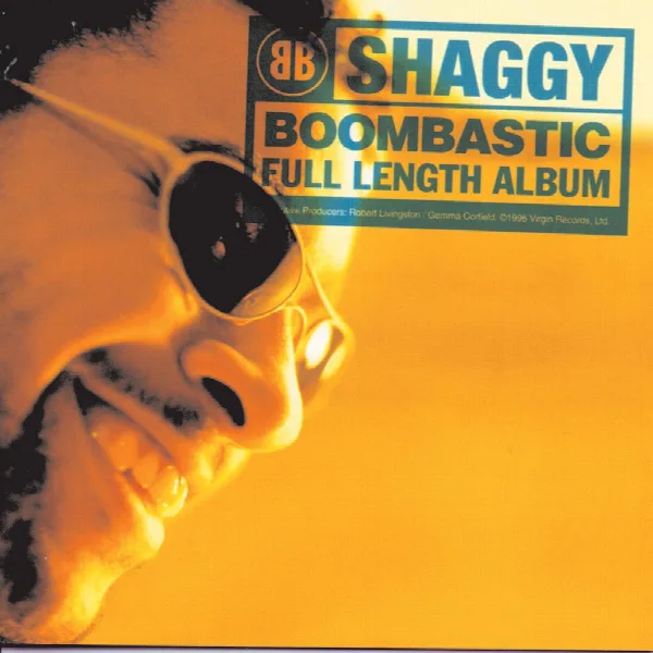 Pochette de Boombastic