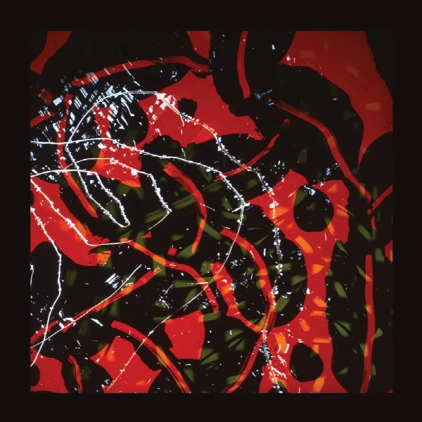 Pochette de Nerve Net