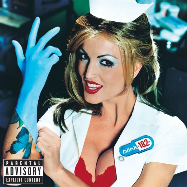 Pochette de Enema Of The State