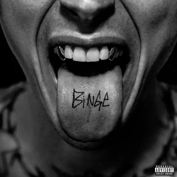 Pochette de BINGE
